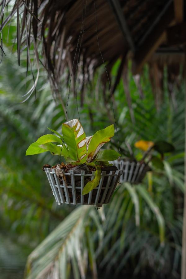 Nary Garden Hotel Kampot Eksteriør billede