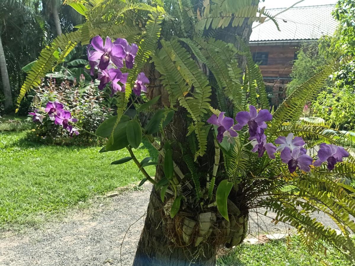 Nary Garden Hotel Kampot Eksteriør billede