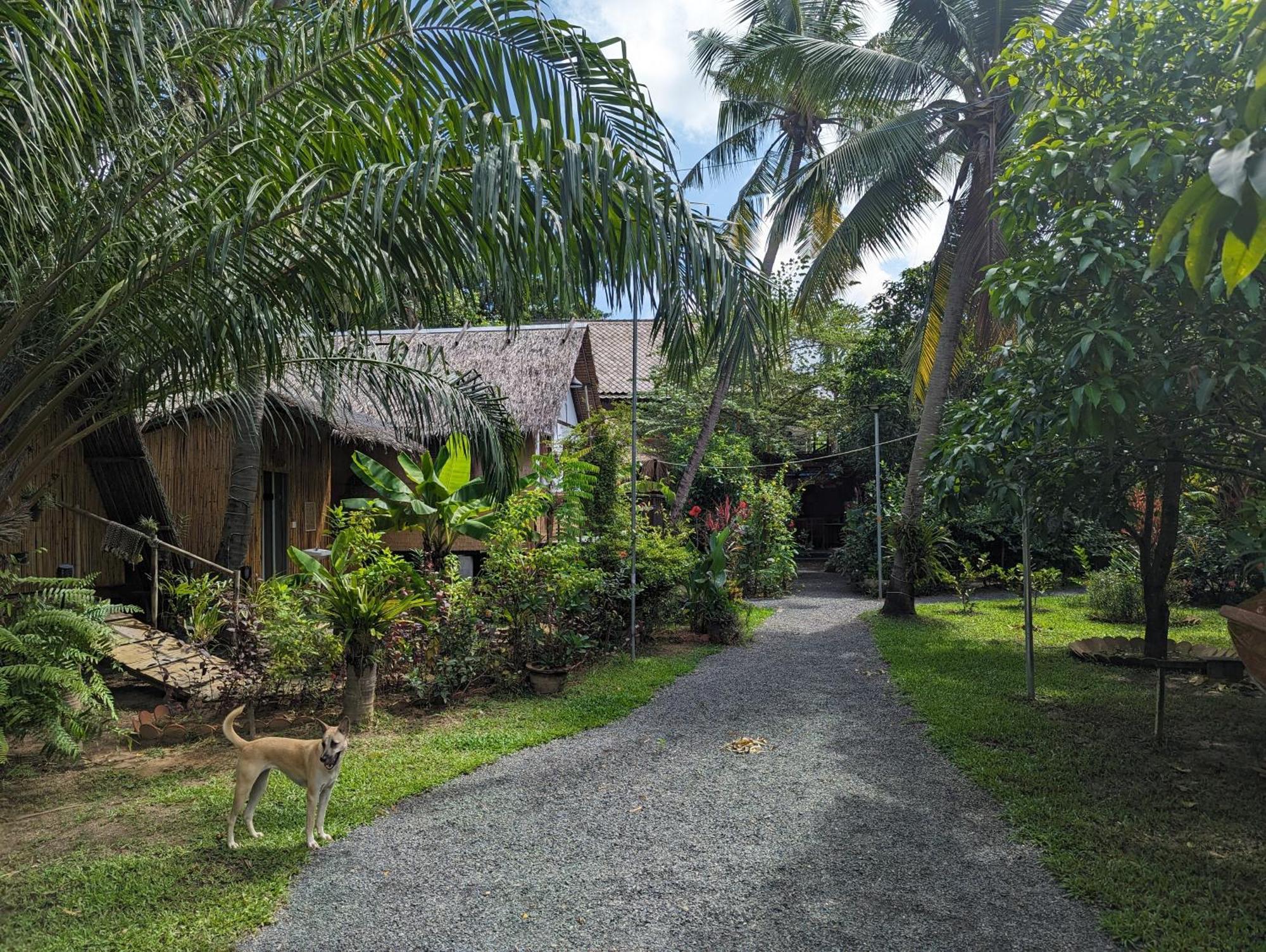 Nary Garden Hotel Kampot Eksteriør billede